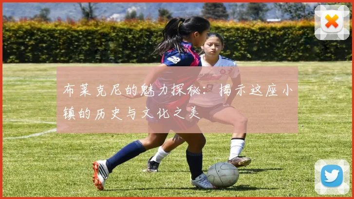 布莱克尼的魅力探秘：揭示这座小镇的历史与文化之美