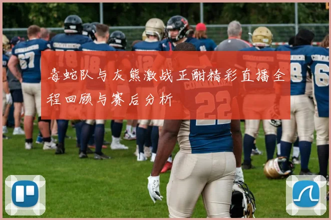 毒蛇队与灰熊激战正酣精彩直播全程回顾与赛后分析