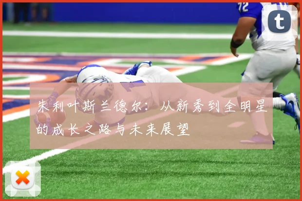朱利叶斯兰德尔：从新秀到全明星的成长之路与未来展望