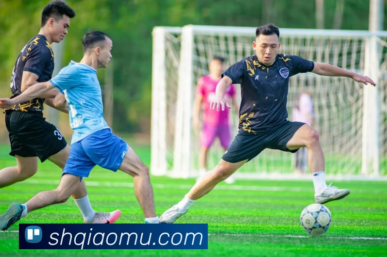 熊猫体育发展历程