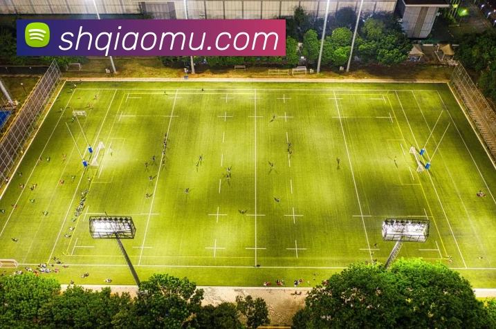 朱利叶斯兰德尔：从新秀到全明星的成长之路与未来展望